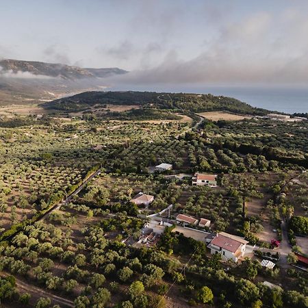 Alenu Bed and Breakfast Αλγκέρο Εξωτερικό φωτογραφία