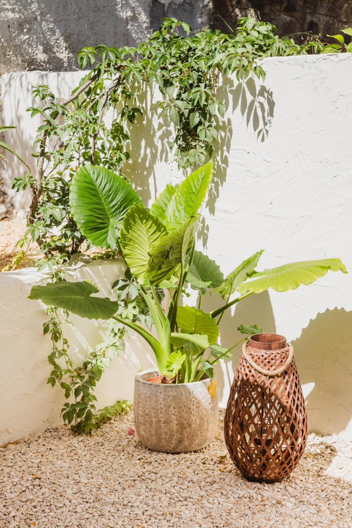 Alenu Bed and Breakfast Αλγκέρο Εξωτερικό φωτογραφία