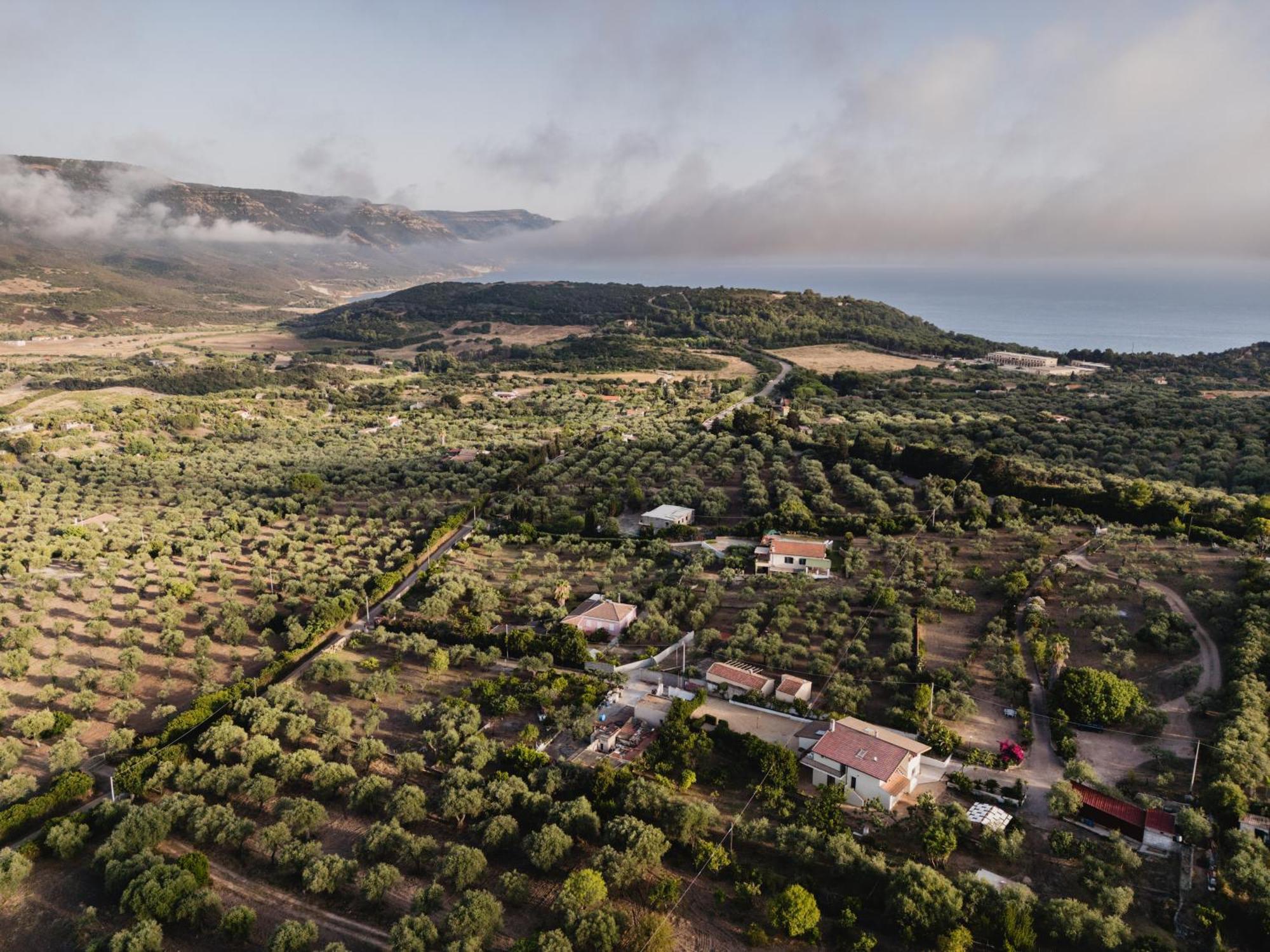Alenu Bed and Breakfast Αλγκέρο Εξωτερικό φωτογραφία